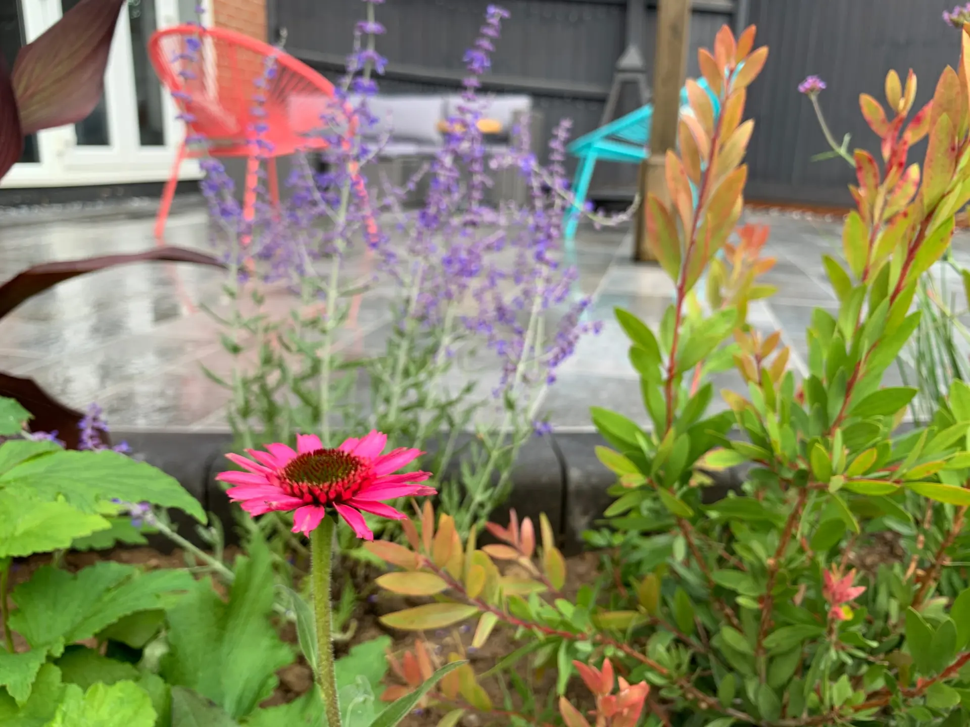 Garden detail and natural textures