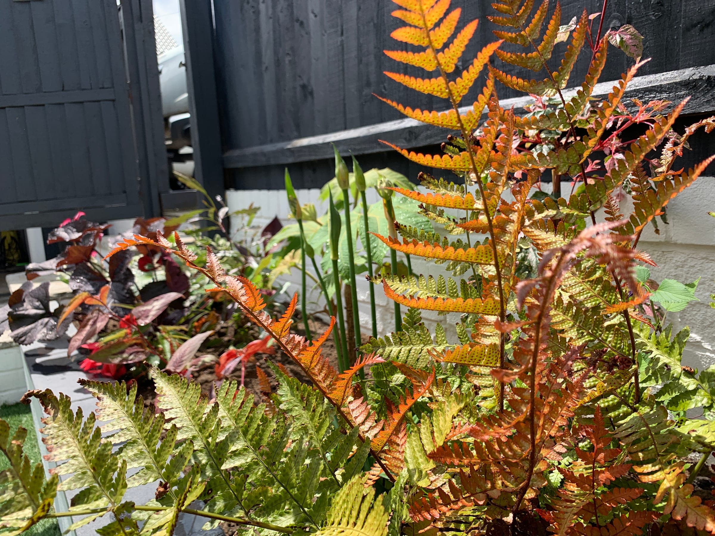 Outdoor living and garden atmosphere