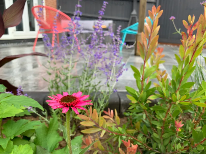 Tropical Planting - Expert tropical and wildlife-friendly planting. Thoughtful designs that support …